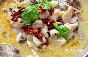 Sour Cabbage Headfish