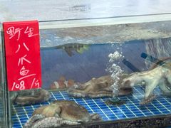 -红月湾海鲜饭店•沙滩海景(双月湾店)