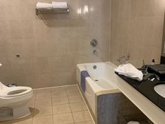 -圣爵菲斯大酒店(长沙世界之窗店)