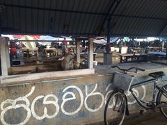 -尼甘布海鲜市场