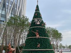 -深圳湾万象城(南山店)