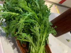 -食潮汕头鲜牛馆(望京保利店)