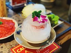 -Xiao Long Kan Hotpot Sydney 小龙坎老火锅