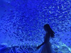 -合肥海洋世界