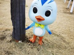 -黄海国家森林公园