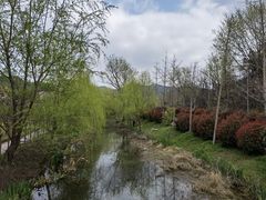 -黄陂区野村谷景区