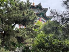 -湛山寺
