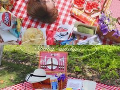 -昆山城市生态森林公园