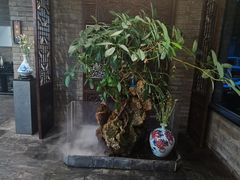 -鸢飞潍坊菜馆(鸢飞大酒店)