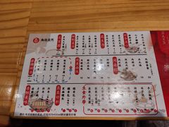 -海丝金凤(金鱼店)
