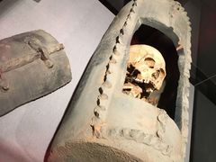-北京大学赛克勒考古与艺术博物馆