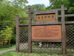 -望江楼公园