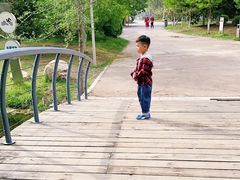 -长白岛森林公园