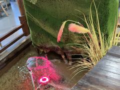 -印巷里主题餐厅(马鞍山店)