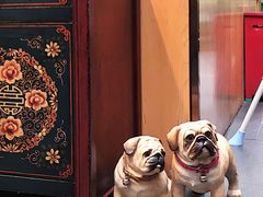 -财神鸡煲(华强北店)