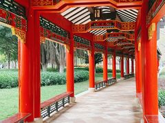 -顺峰山公园
