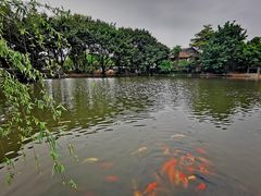 -东莞市可园博物馆