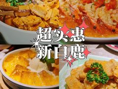 -新白鹿餐厅(金鹰新街口店)