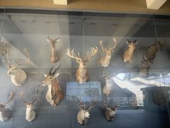 -陕西自然博物馆