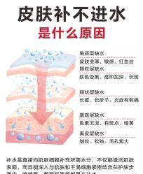 -玛莲朵·海菲秀冰珀科