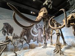 -玛丽娜中西餐厅(四道街店)