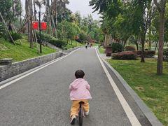 -枫香湖儿童公园