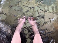 -天目湖涵田半山温泉