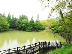 -宝岩生态观光园