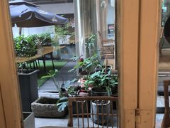 -春树下·树屋花房西餐厅(罍街AS1980店)