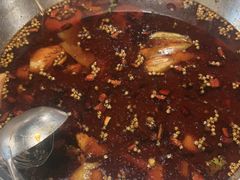 -味之绝热血美蛙鱼火锅(中坝店)