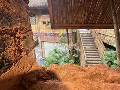 -西双版纳原始森林公园