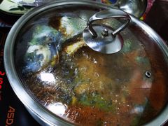 -弘烨 贵州酸汤 鱼火锅(东财店)