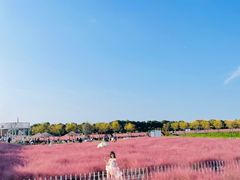 -嘉北郊野公园