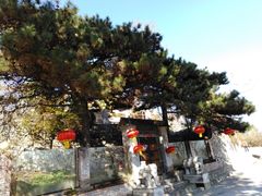 -北京鹫峰国家森林公园