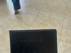 -鹏城驾校·学车·陪驾(宝安店)