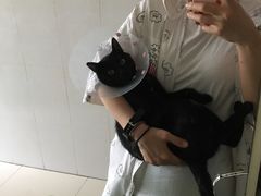 -北京恒爱动物医院(清景园分院)