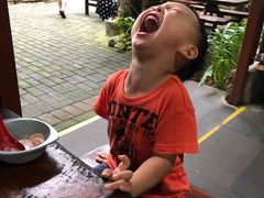 -呀诺达热带雨林