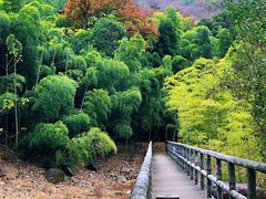 -宝界山林公园