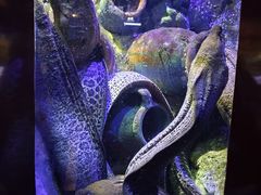 -太平洋海底世界