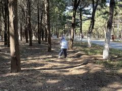 -云岗森林公园