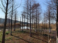 -东钱湖旅游度假区