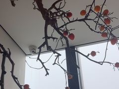 -杏花堂晋商私房菜(华熙五棵松店)