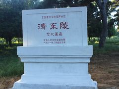 -清东陵