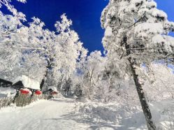 -大秃顶子山