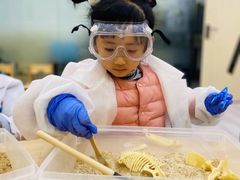 -神奇科学家STEAM科学实验科创赛事机器人编程逻辑思维MadScience(长宁来福士校区)