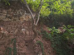 -府君山公园
