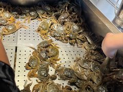 -凯悦·东方公主号 全球海鲜自助餐厅(凯丹广场店)