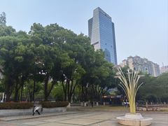 -西北湖绿化广场