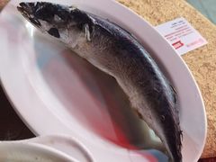 鱼饭-揭阳钟记小食(福田新村店)