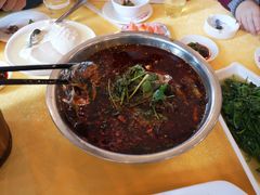 -胖大姐黄辣丁鱼庄(新津店)